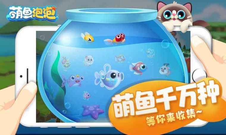 萌鱼泡泡